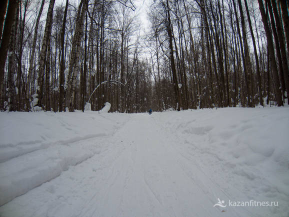 Фото Беговые лыжи на Дубравной в Казани