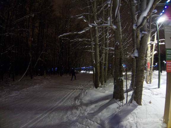 Фото Беговые лыжи в Горкинском лесу в Казани