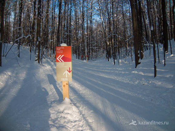Фото Беговые лыжи в Горкинском лесу в Казани