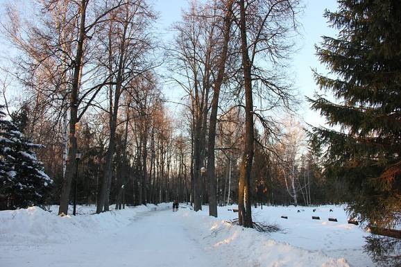 Фото Беговые лыжи в парке Горького в Казани